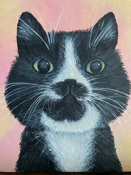 Hand-Painted Custom Cat Portrait 8 x 8 – Bella Shown as Example