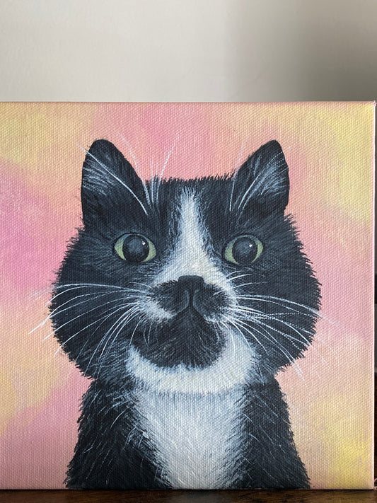 Hand-Painted Custom Cat Portrait 8 x 8 – Bella Shown as Example
